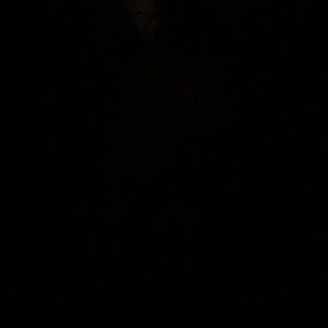 Meet your Posher, Wilda